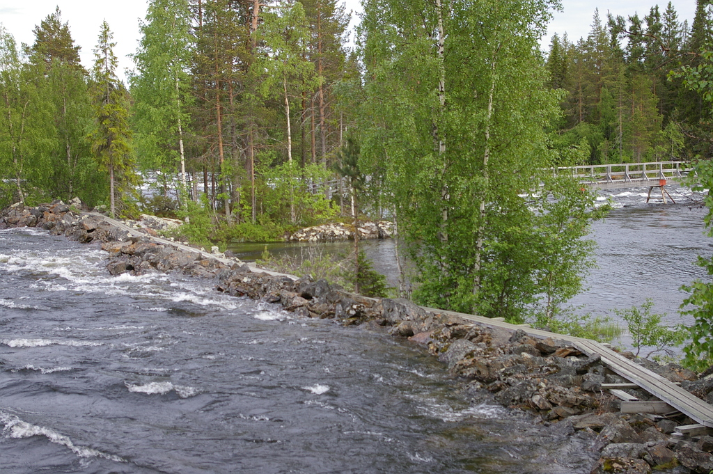 Vergrößern 20190612_IMGP2357.JPG