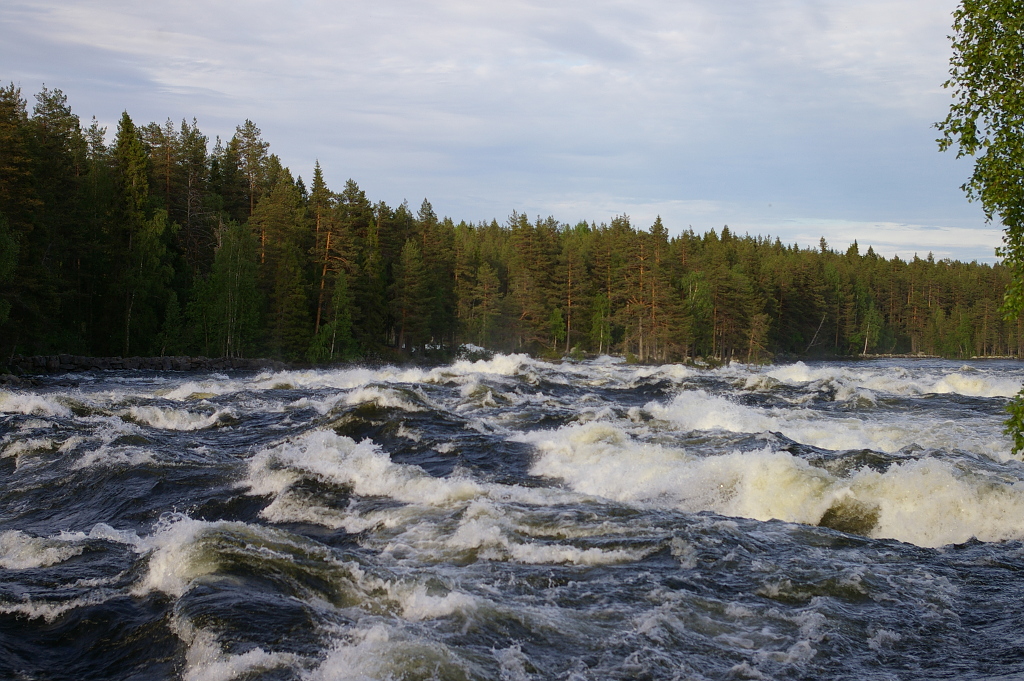 Vergrößern 20190612_IMGP2369.JPG