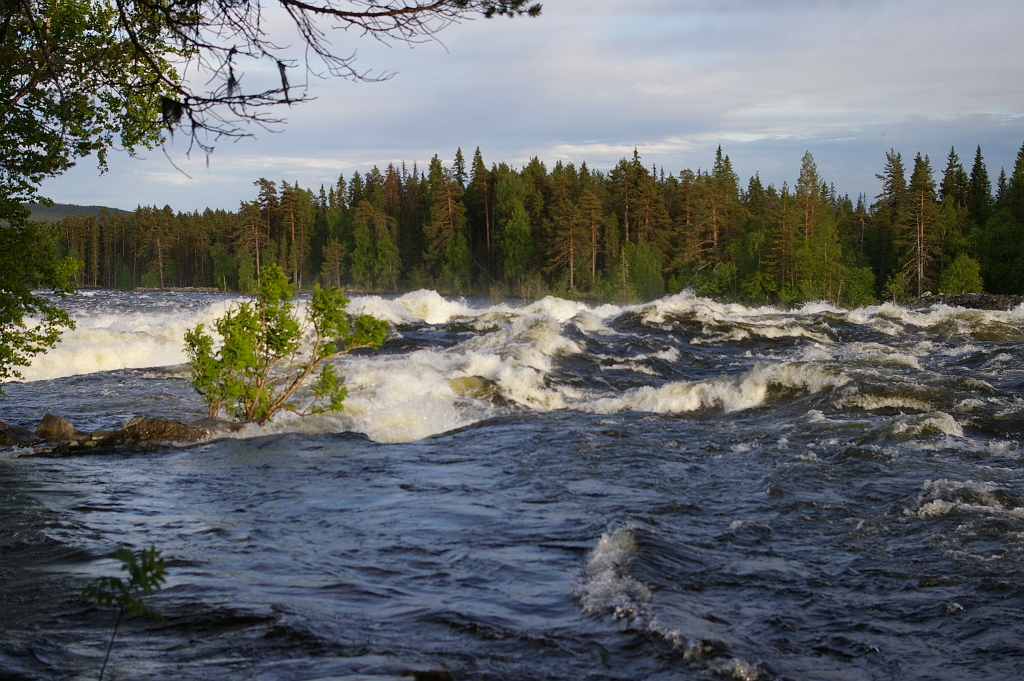 Vergrößern 20190612_IMGP2370.JPG
