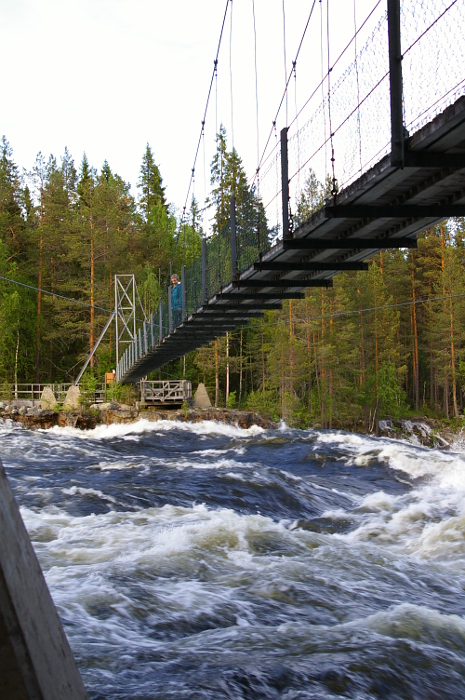 Vergrößern 20190612_IMGP2375.JPG