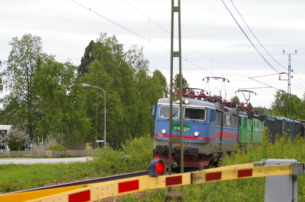 Vergrößern 20190613_IMGP2376.JPG
