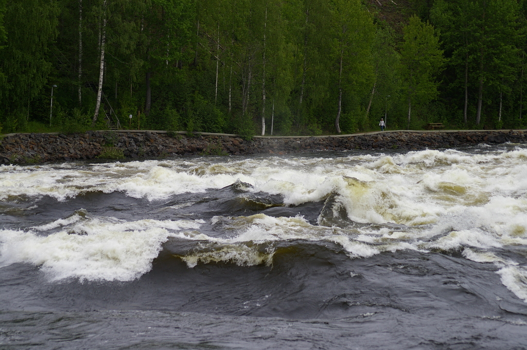 Vergrößern 20190613_IMGP2380.JPG