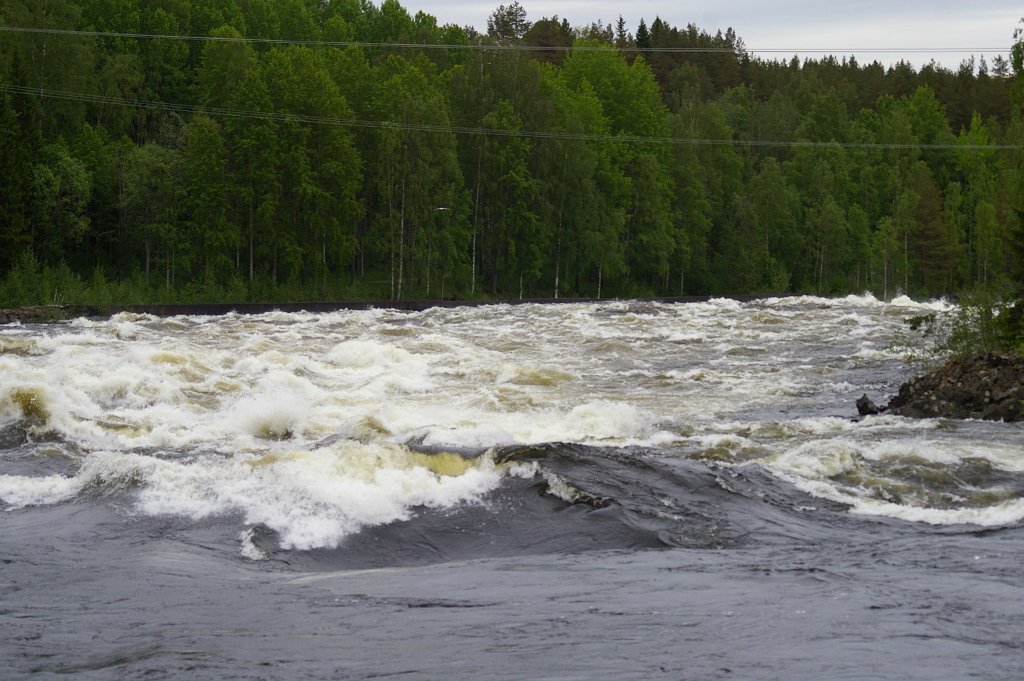 Vergrößern 20190613_IMGP2382.JPG