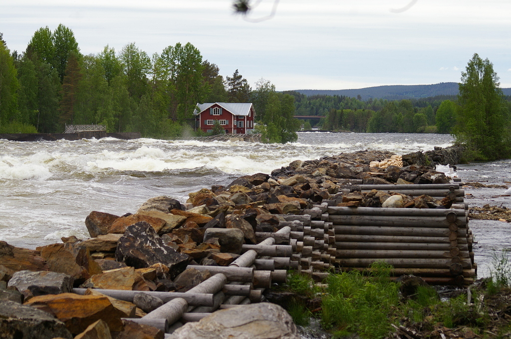 Vergrößern 20190613_IMGP2388.JPG