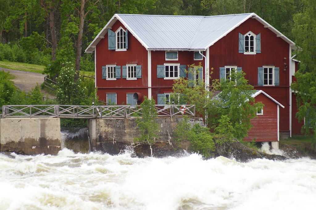 Vergrößern 20190613_IMGP2391.JPG