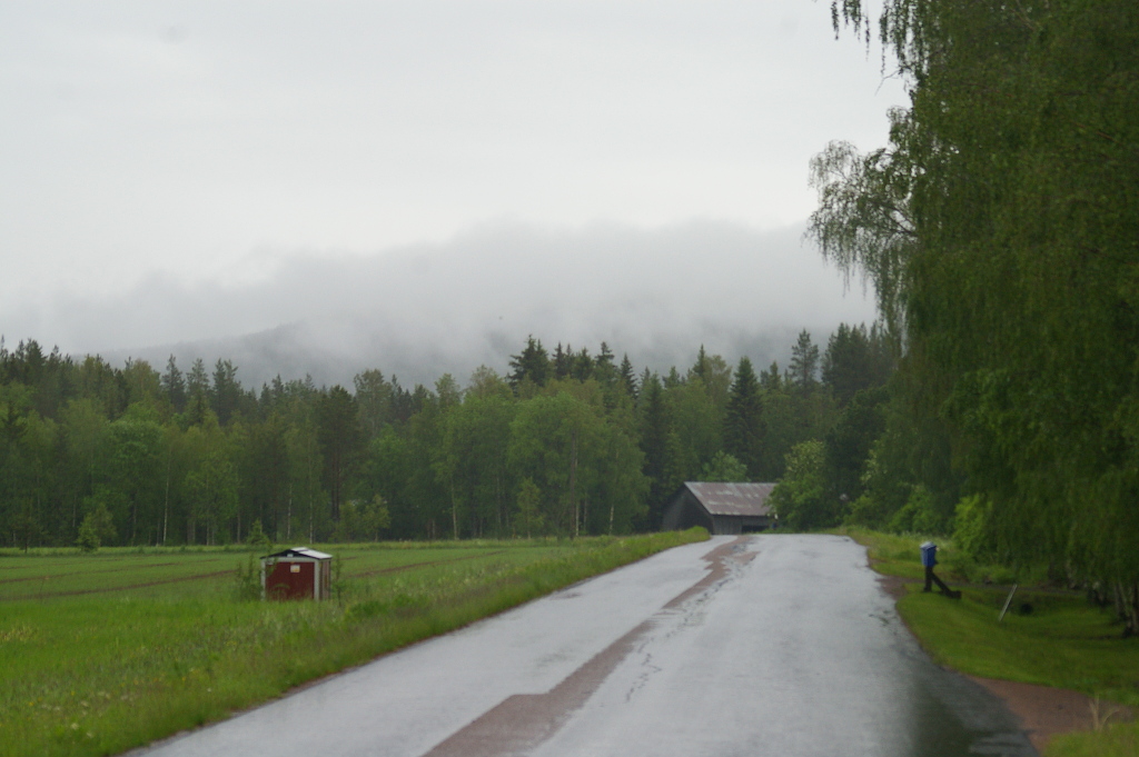 Vergrößern 20190614_IMGP2423.JPG