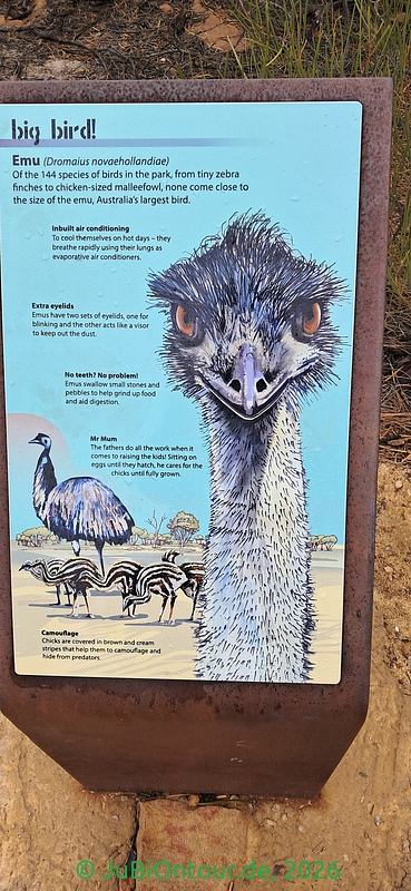 20260530_123451.jpg