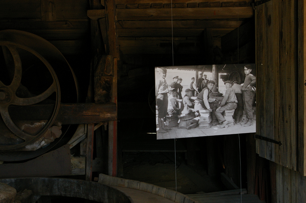 Vergrößern 20190617_IMGP2474.JPG