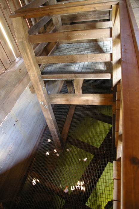 Vergrößern 20190617_IMGP2488.JPG