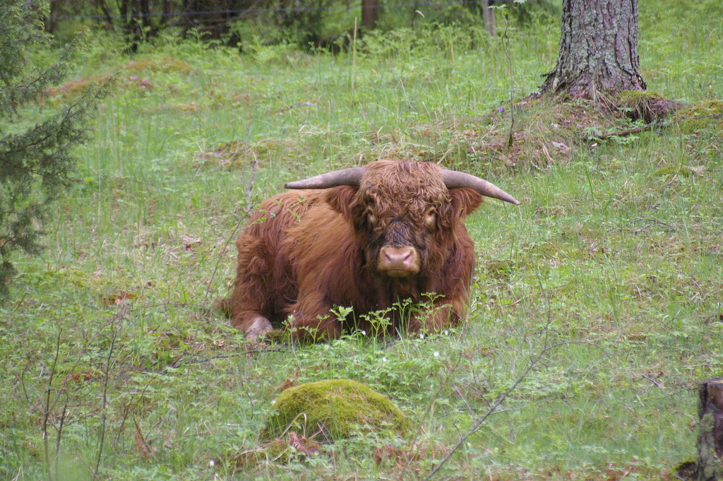 Vergrößern 20190527_IMGP1849.JPG