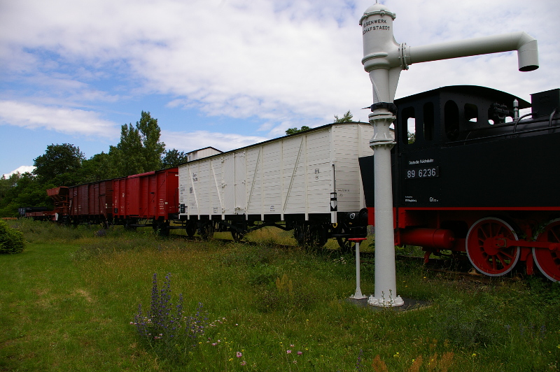 Vergrößern 20200622_IMGP2967.JPG