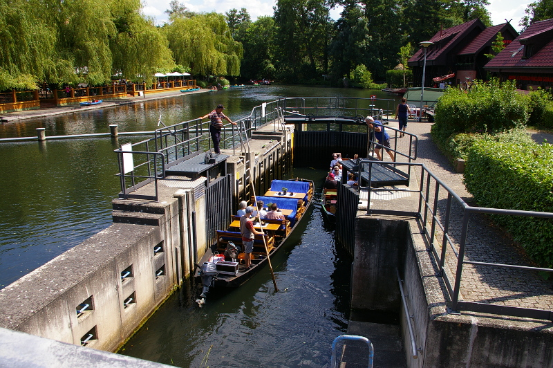 Vergrößern 20200627_IMGP2987.JPG