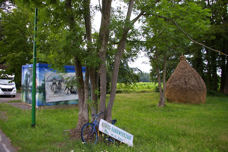 Vergrößern 20200627_IMGP2991.JPG