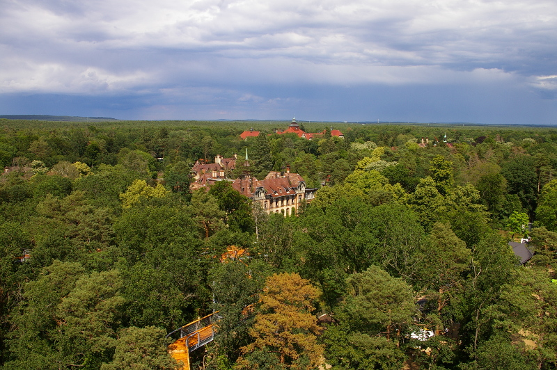 Vergrößern 20200629_IMGP2994.JPG