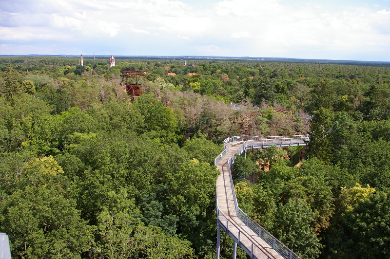 Vergrößern 20200629_IMGP2996.JPG