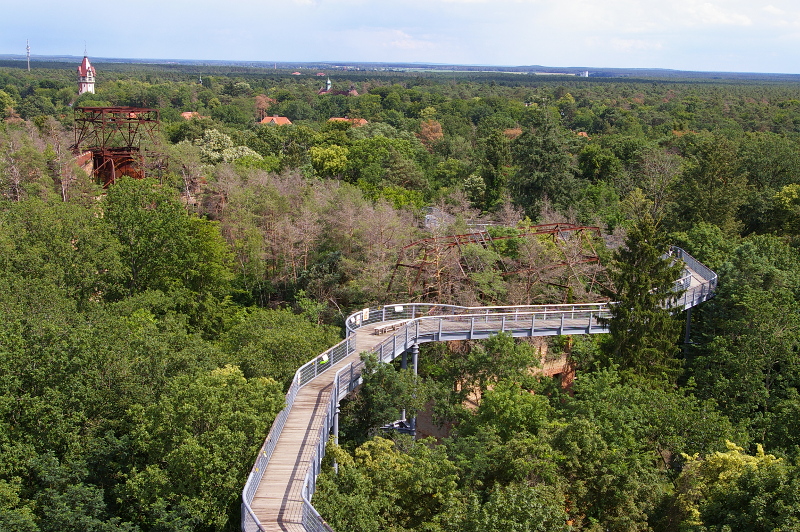 Vergrößern 20200629_IMGP2998.JPG