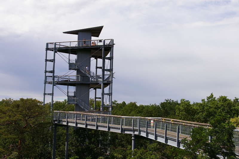 Vergrößern 20200629_IMGP2999.JPG