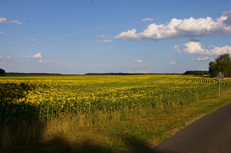 Vergrößern 20200703_IMGP3082.JPG