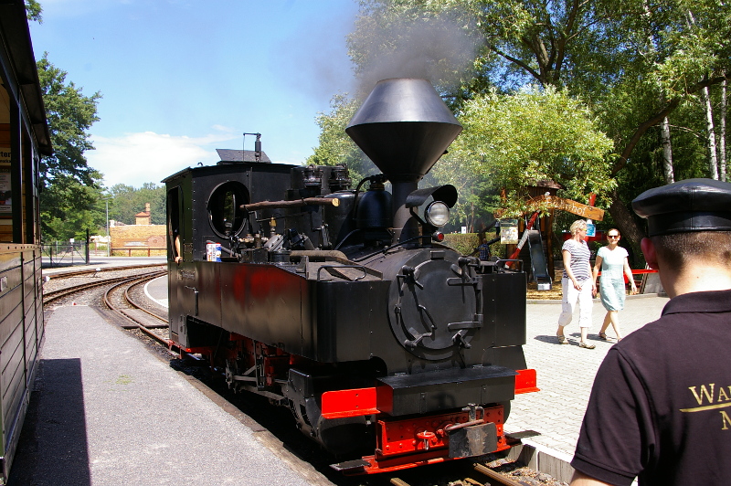 Vergrößern 20200704_IMGP3094.JPG