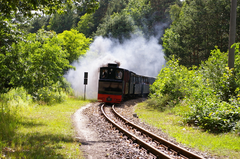 Vergrößern 20200704_IMGP3105.JPG