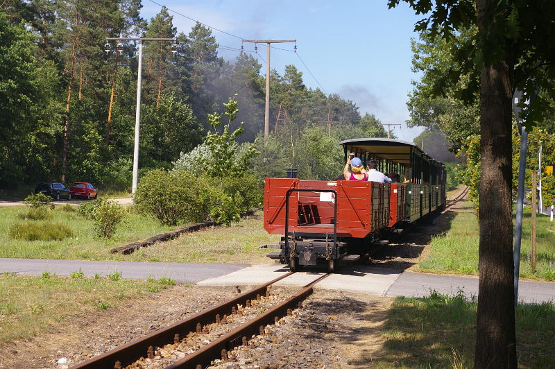 Vergrößern 20200704_IMGP3112.JPG