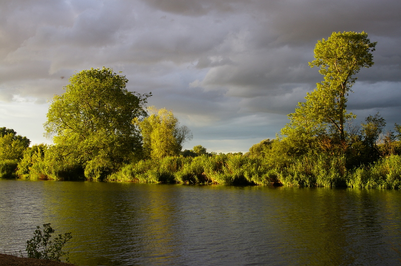 Vergrößern 20200705_IMGP3118.JPG