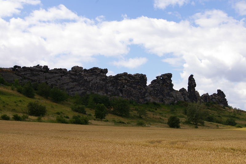 Vergrößern 20200706_IMGP3132.JPG