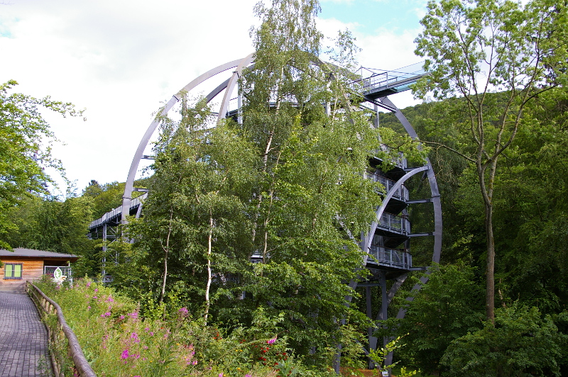 Vergrößern 20200706_IMGP3135.JPG