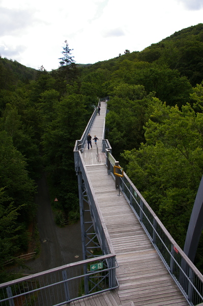 Vergrößern 20200707_IMGP3138.JPG