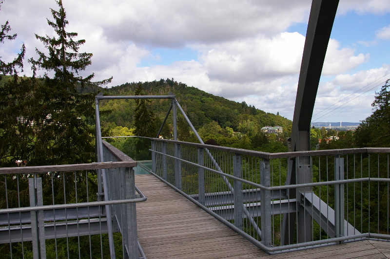 Vergrößern 20200707_IMGP3139.JPG