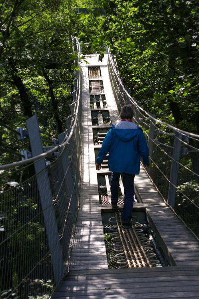 Vergrößern 20200707_IMGP3141.JPG