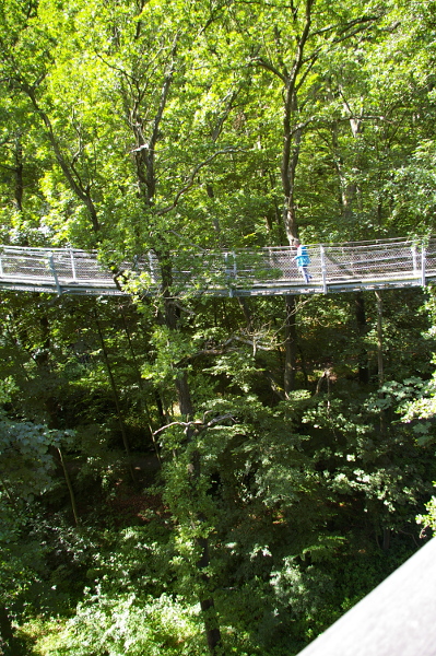 Vergrößern 20200707_IMGP3144.JPG