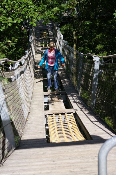 Vergrößern 20200707_IMGP3147.JPG