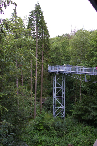 Vergrößern 20200707_IMGP3150.JPG