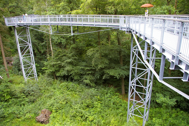 Vergrößern 20200707_IMGP3151.JPG