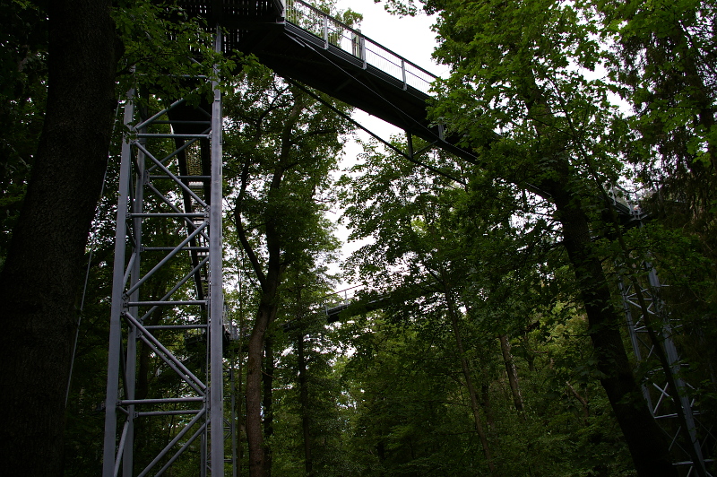 Vergrößern 20200707_IMGP3152.JPG