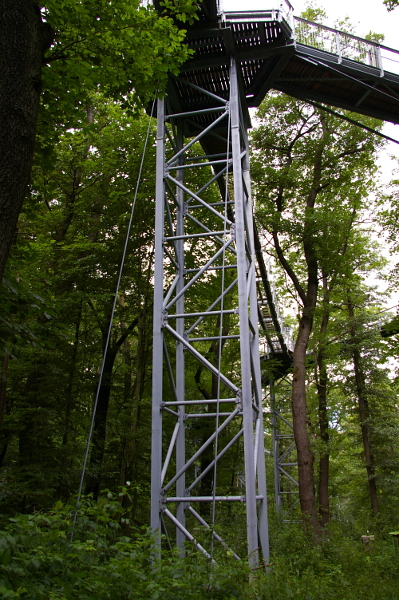 Vergrößern 20200707_IMGP3153.JPG