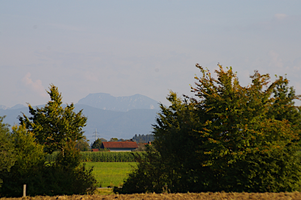 Vergrößern IMGP3300.JPG