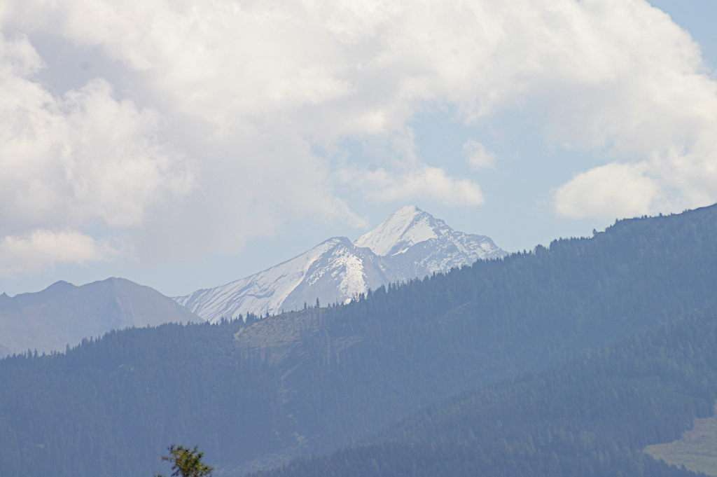 Vergrößern IMGP3320.JPG