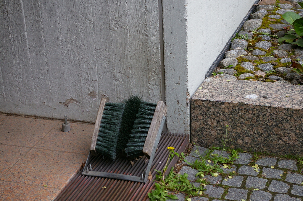 Vergrößern 20190528_IMGP1895.JPG