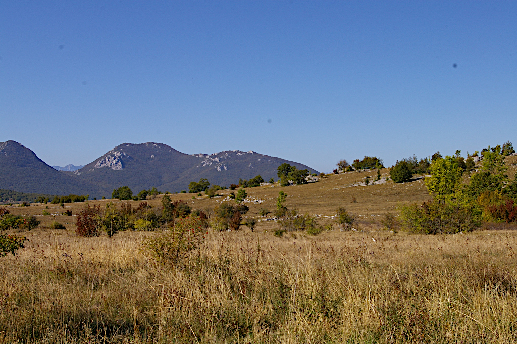 Vergrößern IMGP3643.JPG