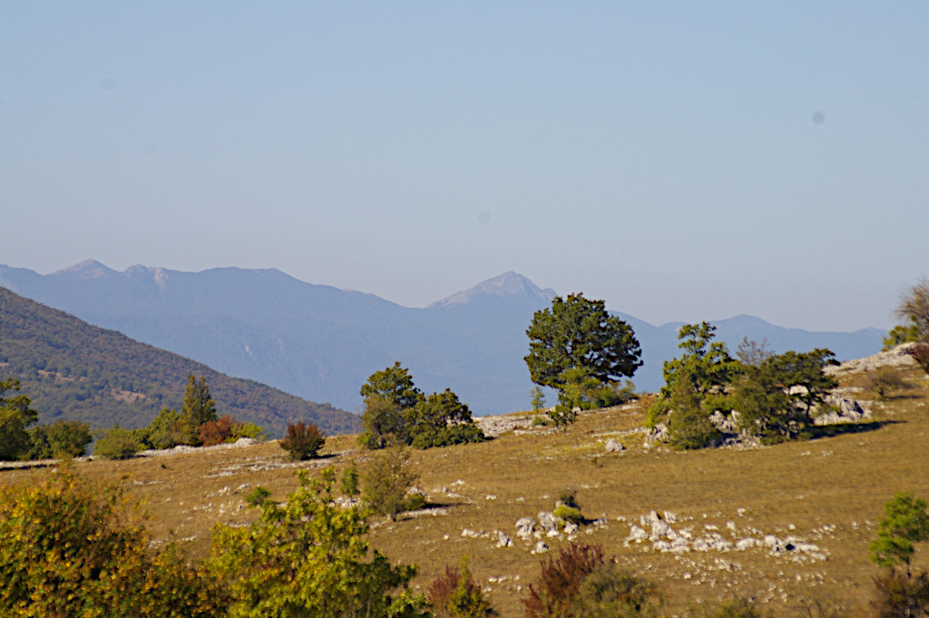 Vergrößern IMGP3653.JPG