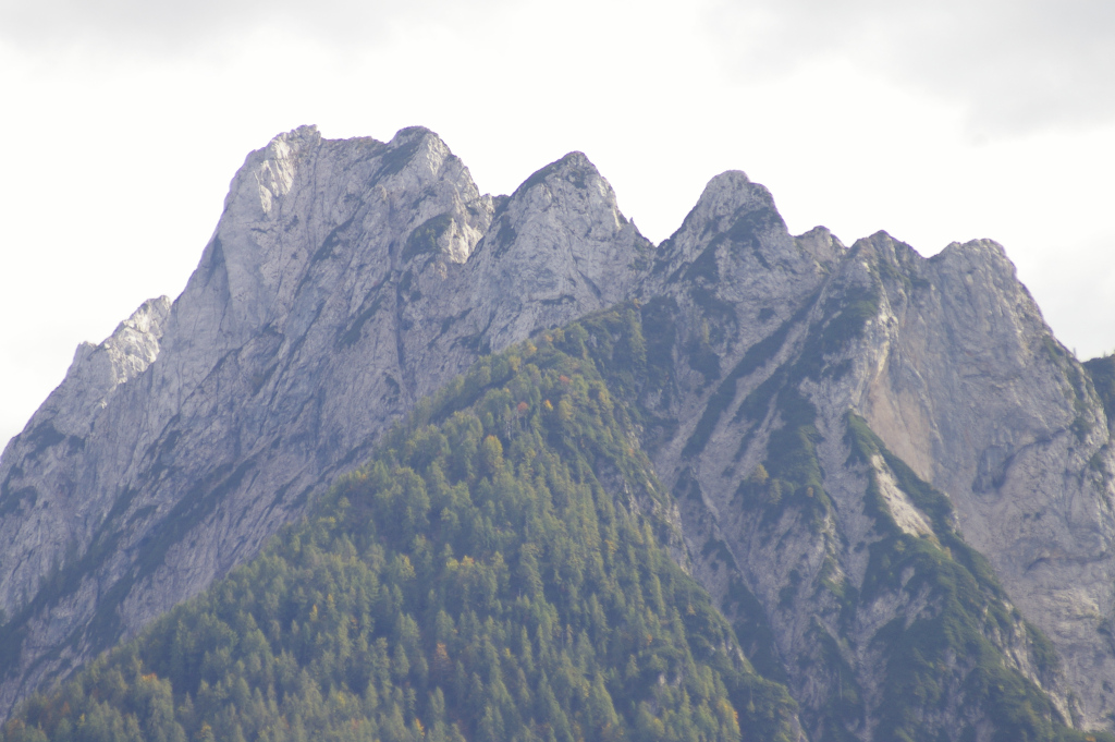 Vergrößern 20210928_IMGP3729.JPG