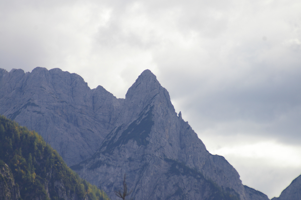 Vergrößern 20210928_IMGP3730.JPG