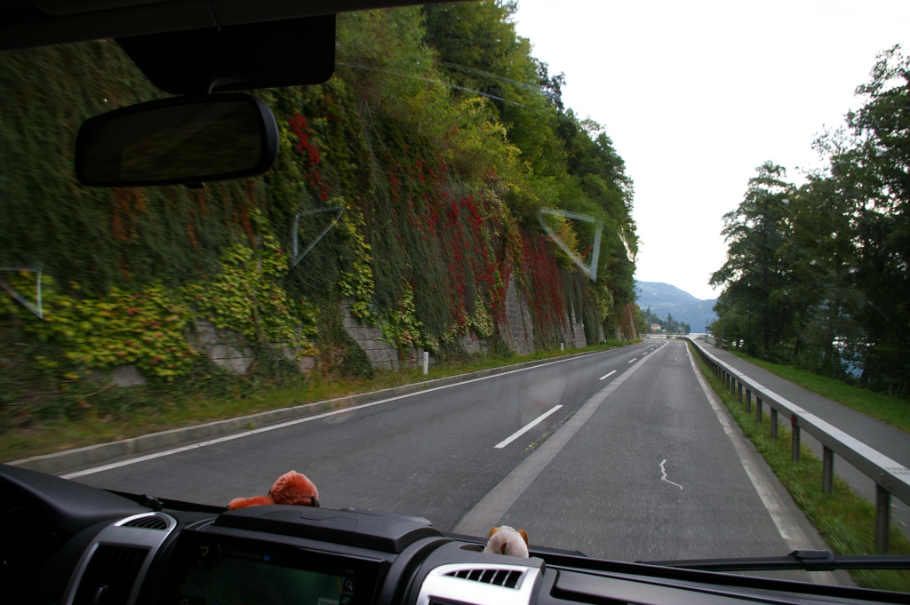 Vergrößern 20210929_IMGP3756.JPG