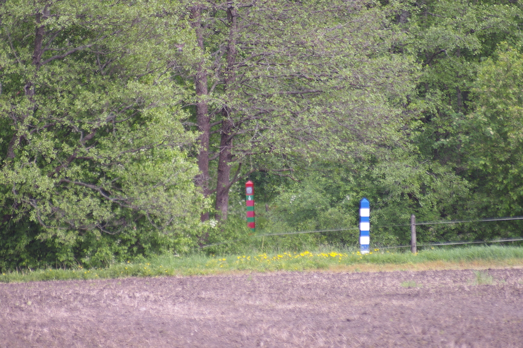 Vergrößern 20190529_IMGP1941.JPG
