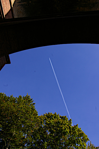 Vergrößern 20211002_IMGP3850.JPG