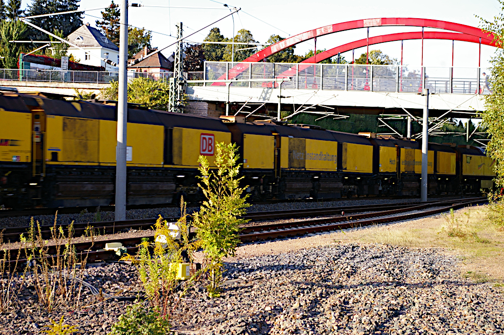 Vergrößern 20211002_IMGP3862.JPG