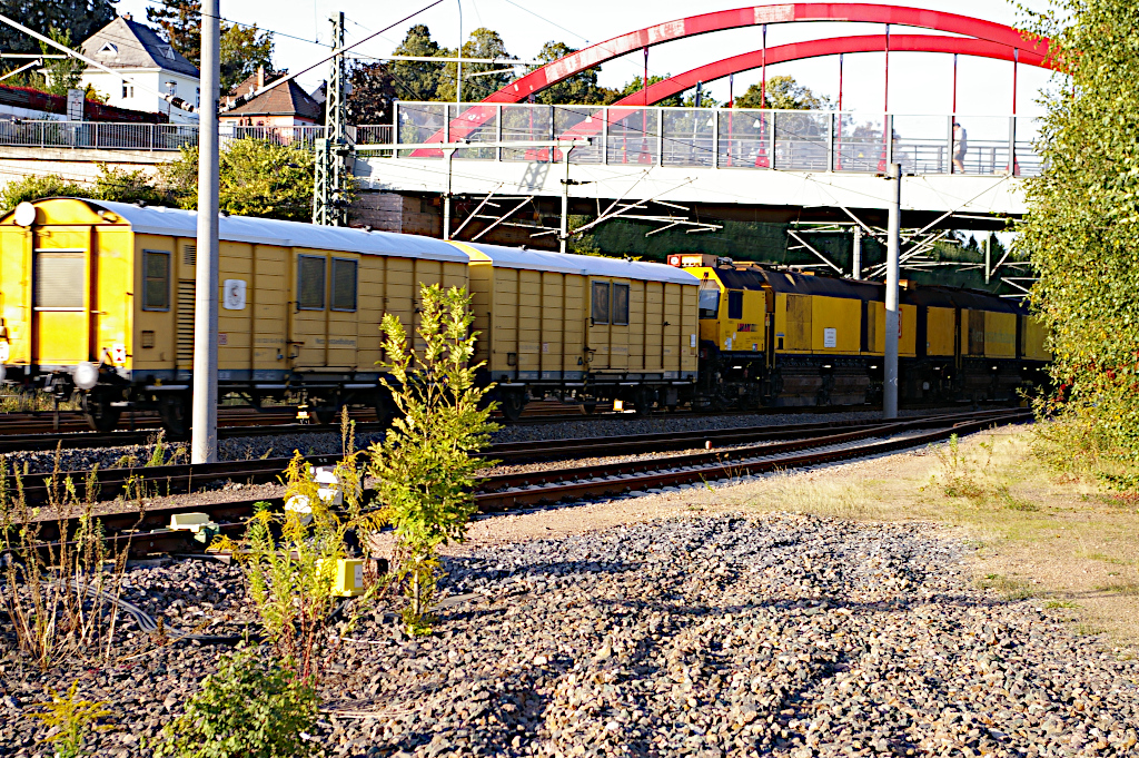 Vergrößern 20211002_IMGP3863.JPG