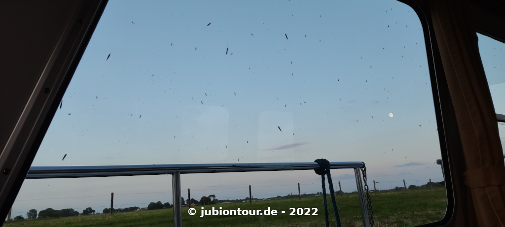 Vergrößern 20220608_06.jpg